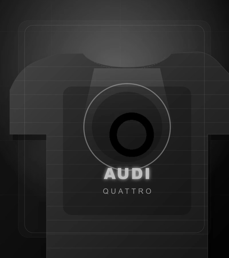 AUDI detail